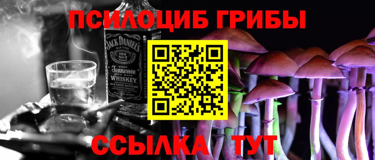 Волжск  Псилоцибиновые грибы Psilocybe  где продают   Галлюциногенные грибы MAGIC MUSHROOMS  Вход с VPN 